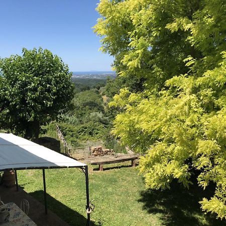 Haus Malerin - Meerblick, Umzaeunter Garten By Toscanatour Guardistallo Luaran gambar
