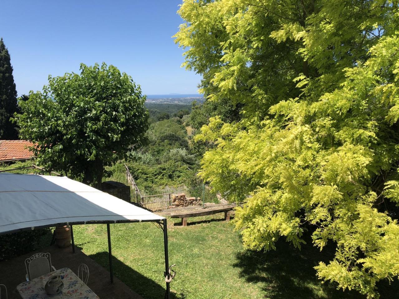 Haus Malerin - Meerblick, Umzaeunter Garten By Toscanatour Guardistallo Luaran gambar