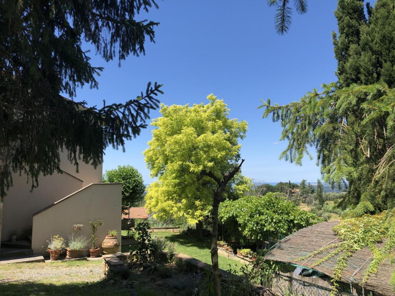 Haus Malerin - Meerblick, Umzaeunter Garten By Toscanatour Guardistallo Luaran gambar